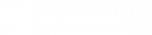 logo mega transporter